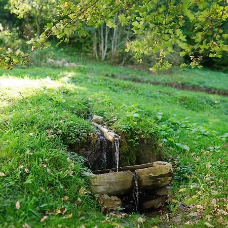 Chalet Omarsko Vrelo - Kuca Na Izvoru U Srcu Tare